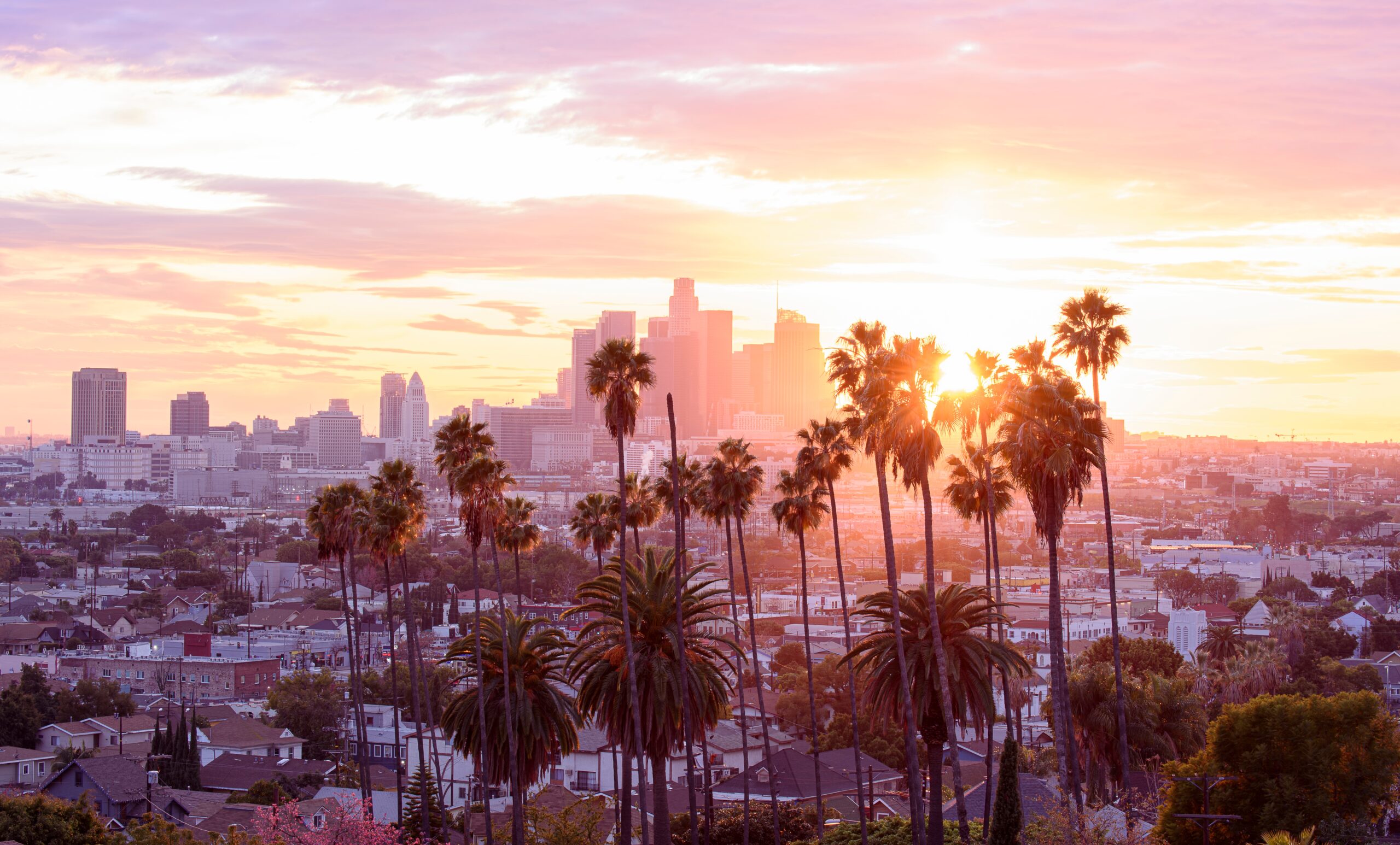 Sunset,Through,The,Palm,Trees,,Los,Angeles,,California.